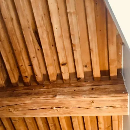 Le Calme De L'opera. * Lyon